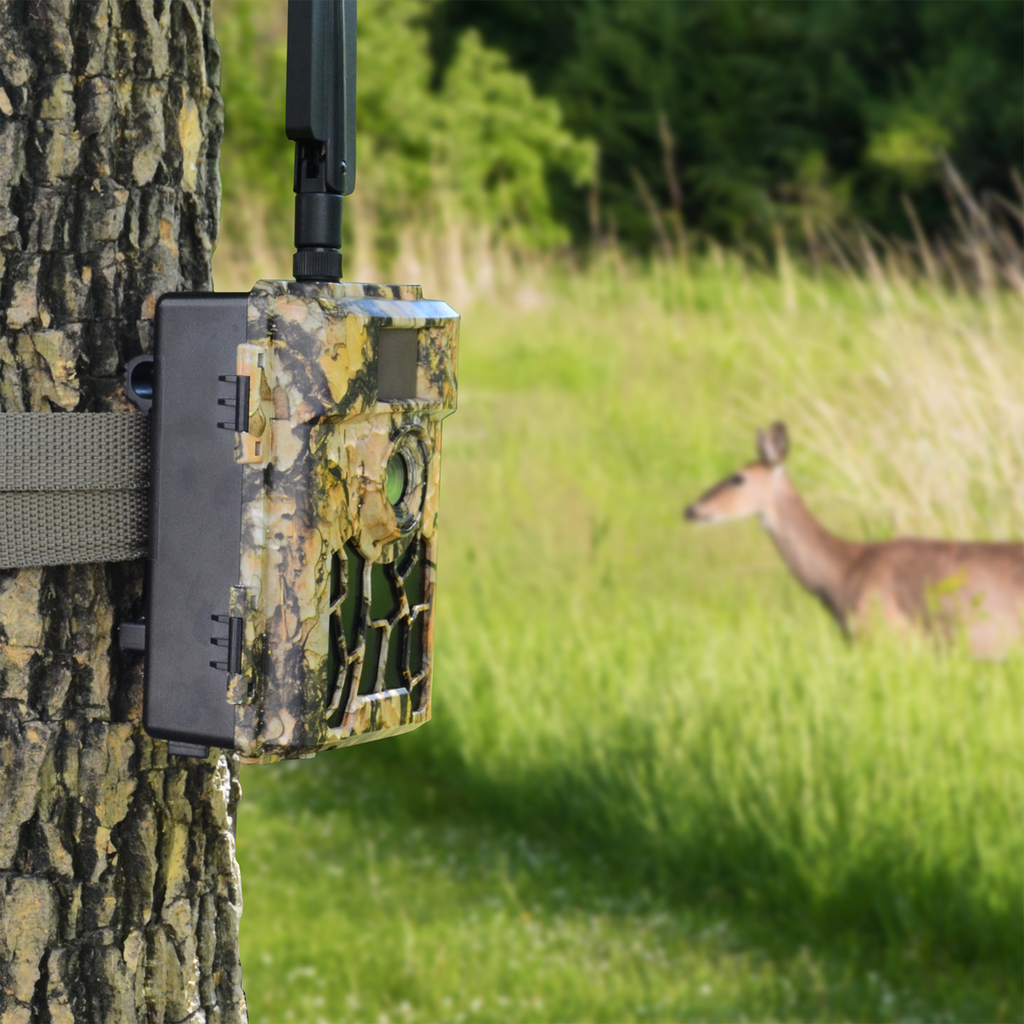 PNI Hunting 480C PRO 2 Wildkamera 4MP, 4G Internet, GPS, Blickwinkel 60° X - Bild 10