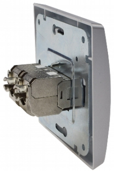 Delphi Netzwerkdose silber mit Rahmen 2x CAT6 X - Bild 1
