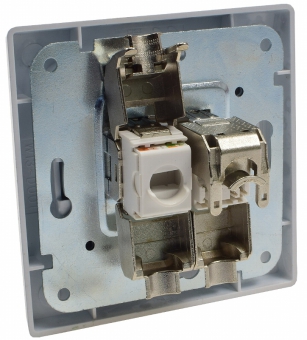 Delphi Netzwerkdose silber mit Rahmen 2x CAT6 X - Bild 2