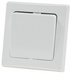 DELPHI Kreuzschalter 250V~/ 10A X
