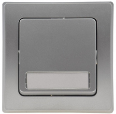 Delphi silber Taster mit Namensschild X